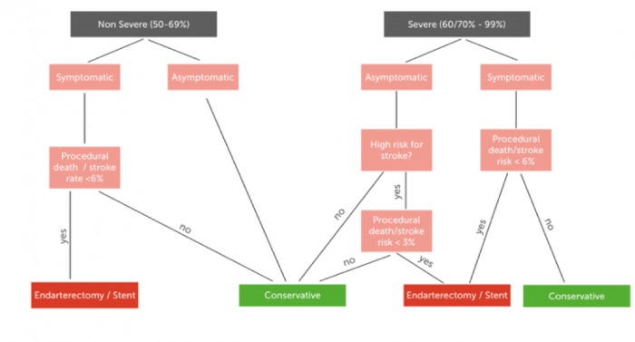  Flow chart depicting the indications for conservative therapy and carotid artery stenting