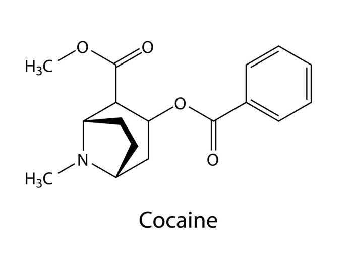 Illustration of cocaine molecule.