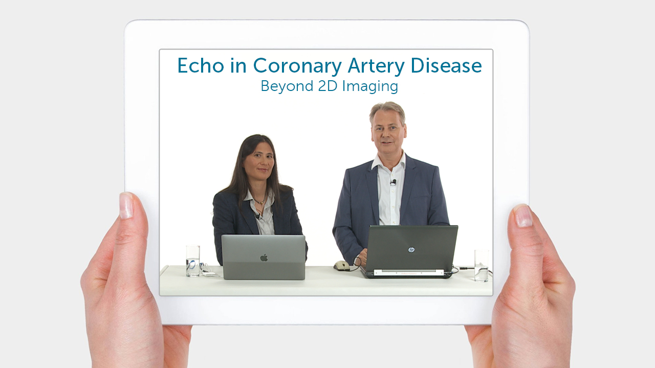 Echo in coronary artery disease – case examples